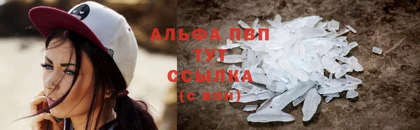 apvp Горняк