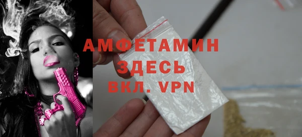 apvp Горняк