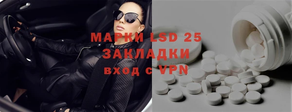 apvp Горняк