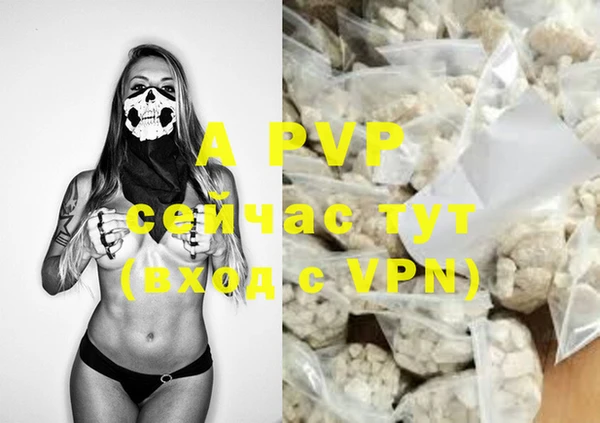 apvp Горняк