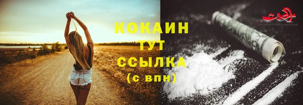 apvp Горняк